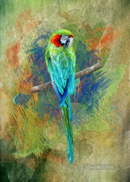 parrot sands birds Oil Paintings